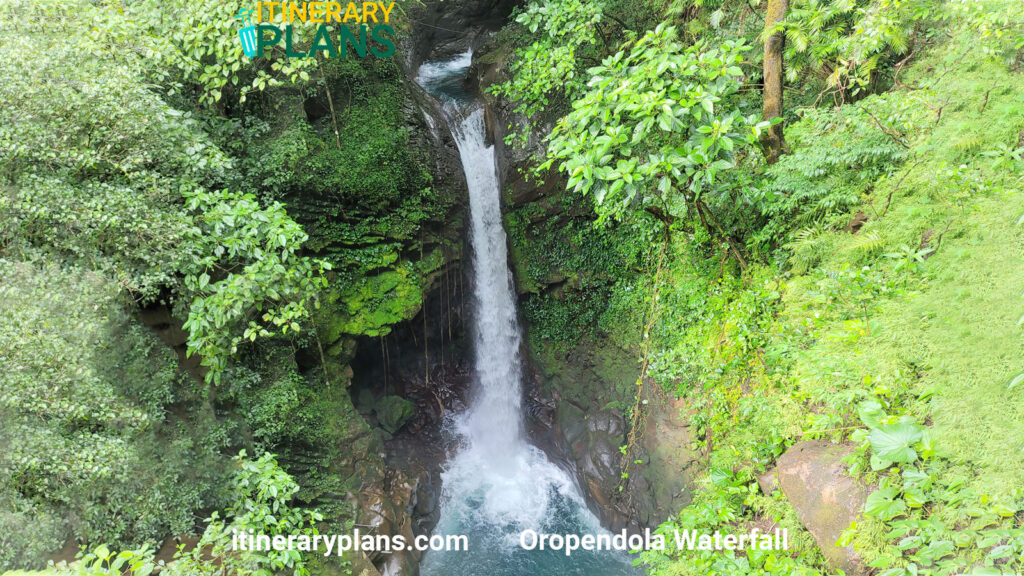 Oropendola-Waterfall