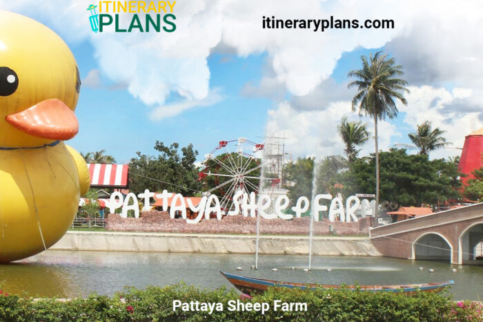 Pattaya Sheep Farm Itinerary: Complete Travel Guide.