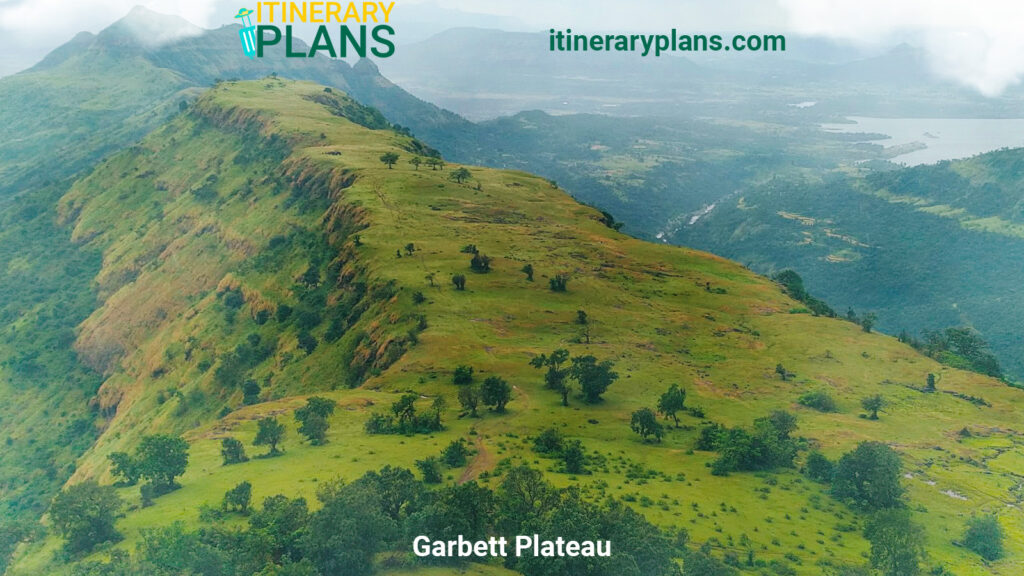 Aerial view of a lush green hilltop surrounded by misty clouds, scattered trees, and steep cliffs. The scene conveys tranquility and natural beauty.