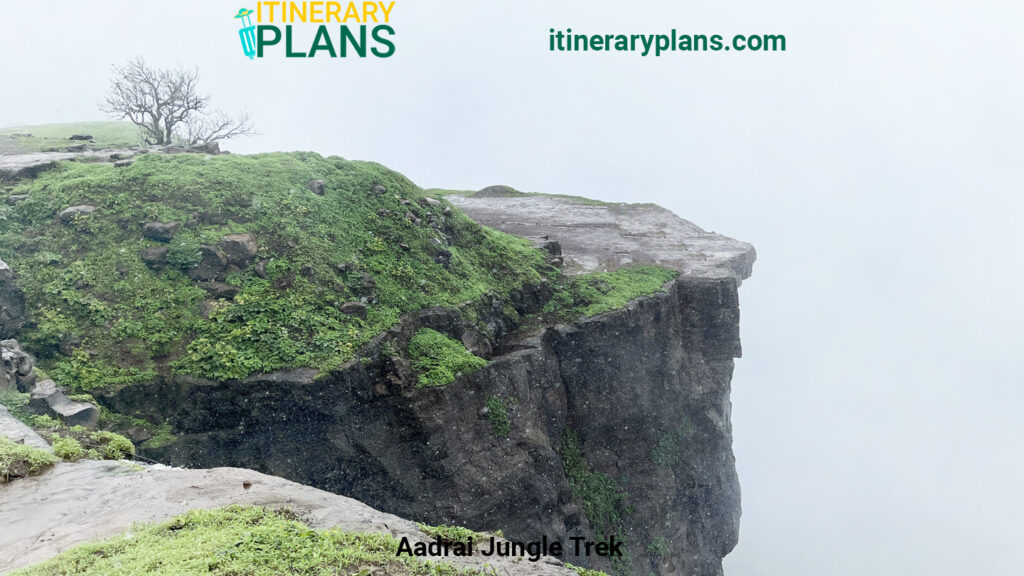 Aadrai Jungle Trek