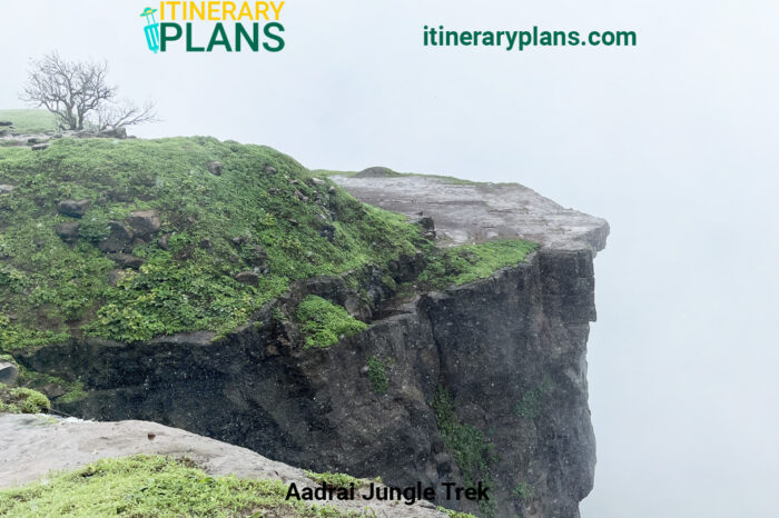 Aadrai Jungle Trek Itinerary: Complete Travel Guide.