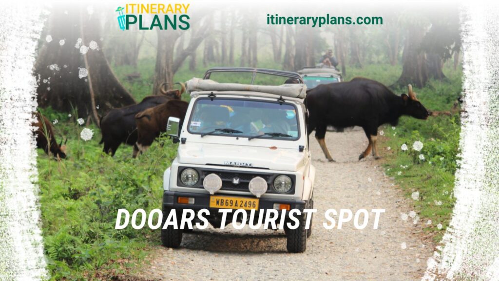 Dooars Tourist Spot