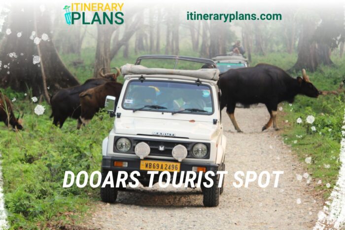 Dooars Tourist Spot Itinerary: Complete Travel Guide.