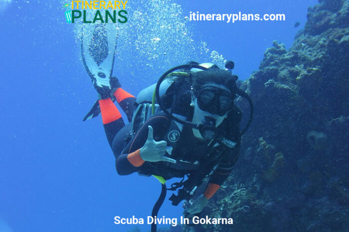 Scuba Diving In Gokarna: 2024
