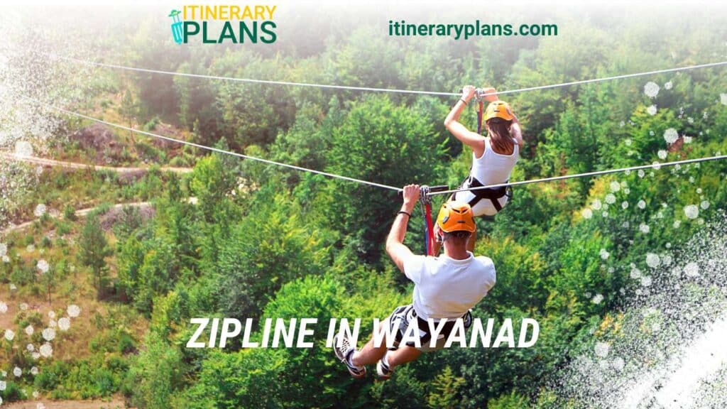 Zipline In Wayanad