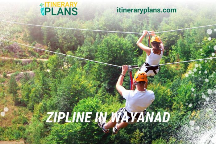 Best 5 Places For Zipline In Wayanad: For A Thrill Experience