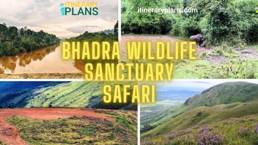 Bhadra Wildlife Sanctuary Safari