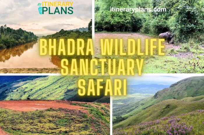 Bhadra Wildlife Sanctuary Safari | Popular in Chikmagalur