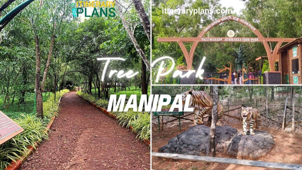 Tree Park Manipal