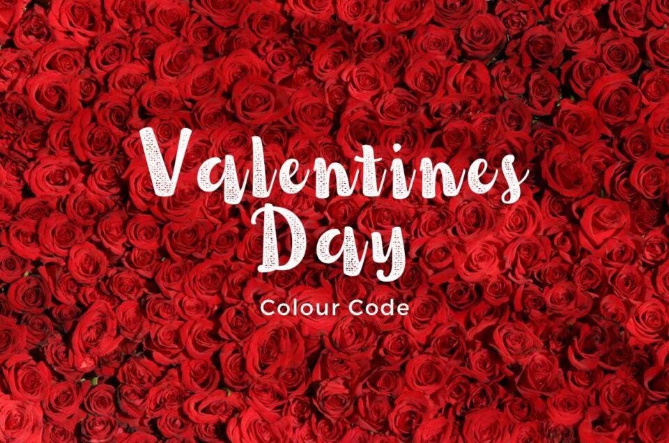 Valentine’s Day Colour Code: Must Should Know for feb 14.