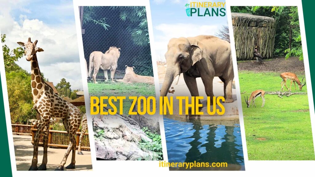 Best Zoo in the us