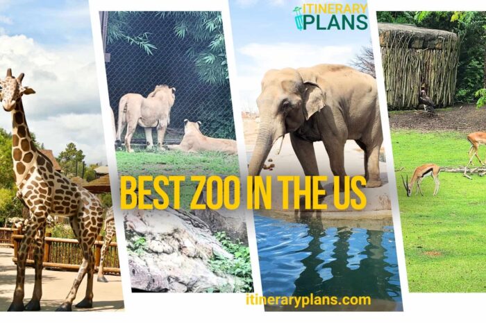 The 15 Best Zoo in the us : Enjoy Wildlife and Nature