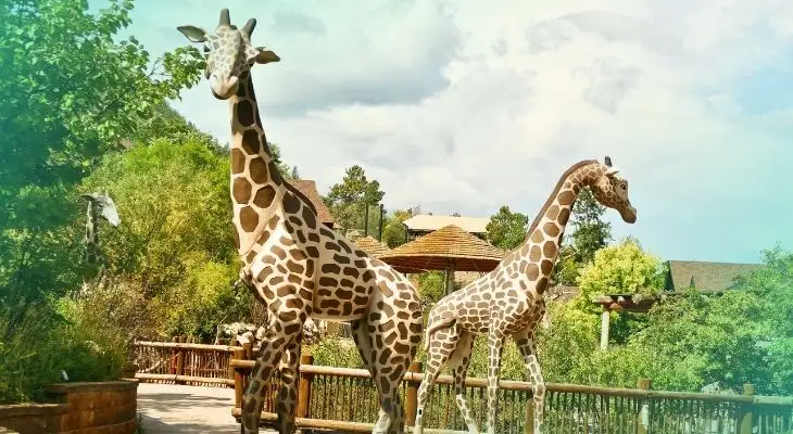 cheyenne mountain zoo