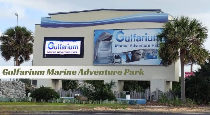 Gulfarium Marine Adventure Park