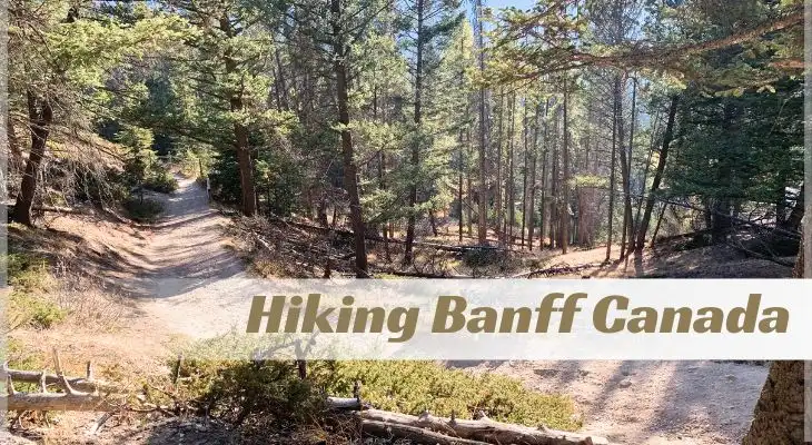 hiking banff canada