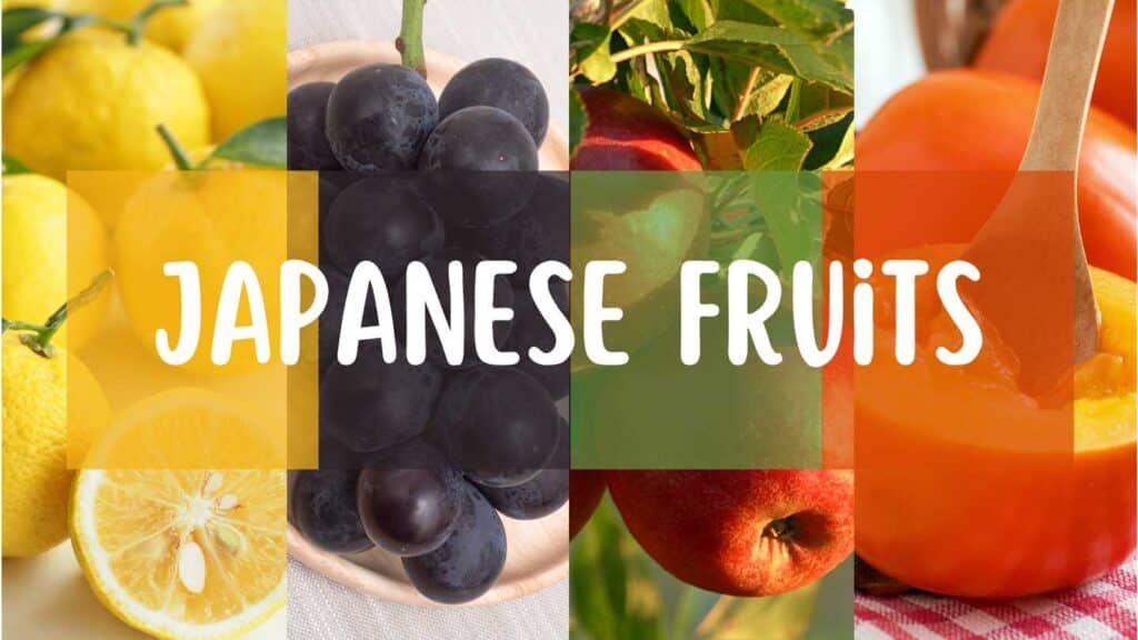 Japanese Fruits