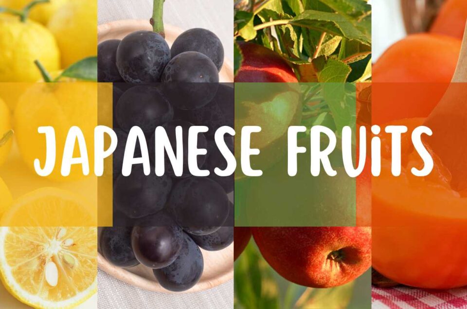 A Guide to Japanese Fruits