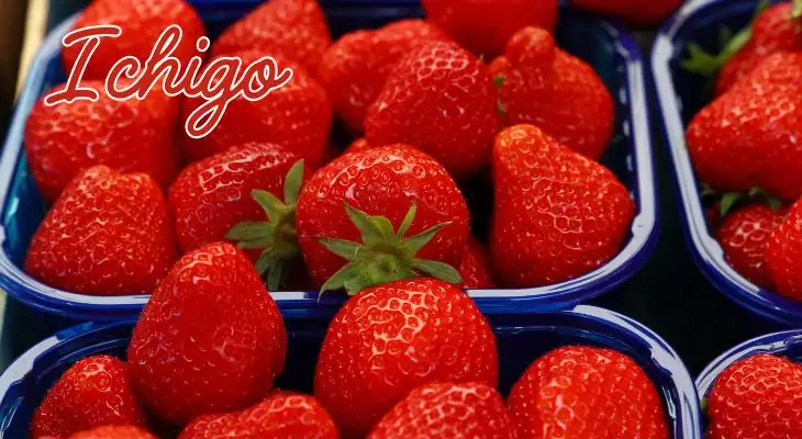 japanese strawberries ichigo 苺