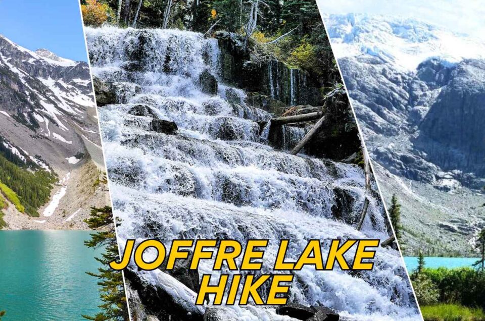 Joffre Lake Hike: Complete Travel Guide