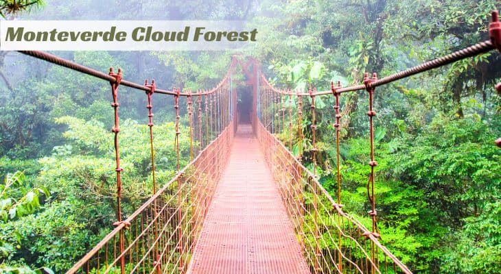 Monteverde Cloud Forest