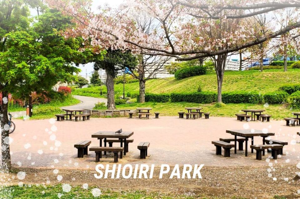 Shioiri Park: A Nature Park in Tokyo
