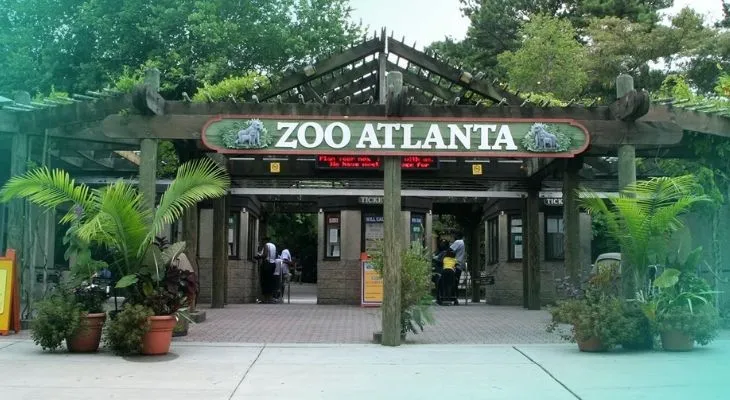 zoo atlanta