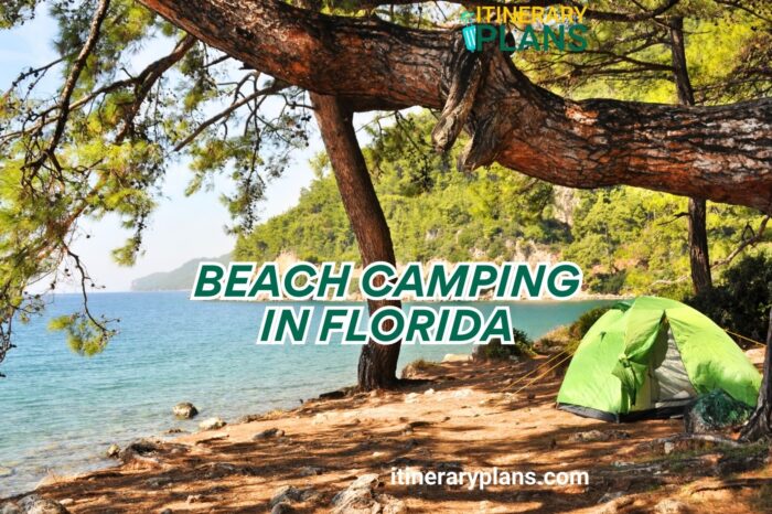 The 15 Best Spots for Beach Camping Florida
