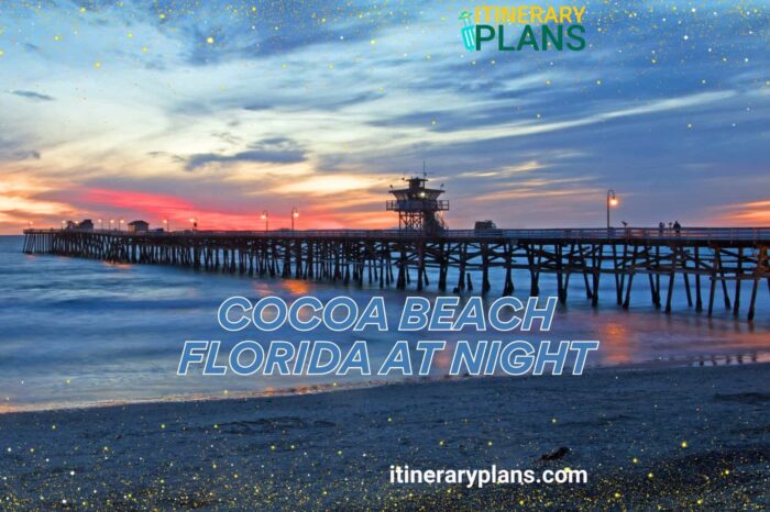 The Top 10 Activities in Cocoa Beach Florida at Night