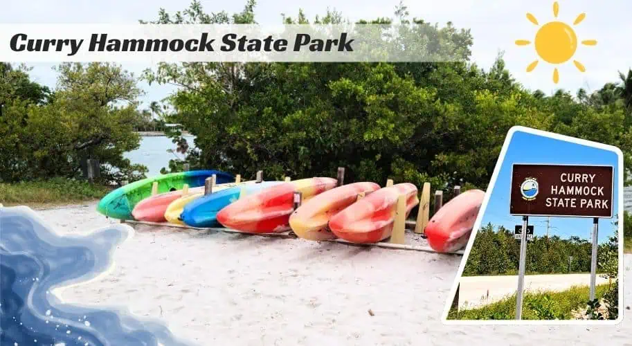 curry hammock state park