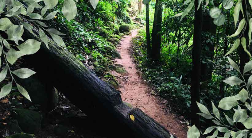 Huai Kaeo Waterfall route