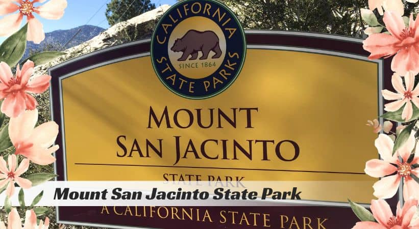 Mount San Jacinto State Park