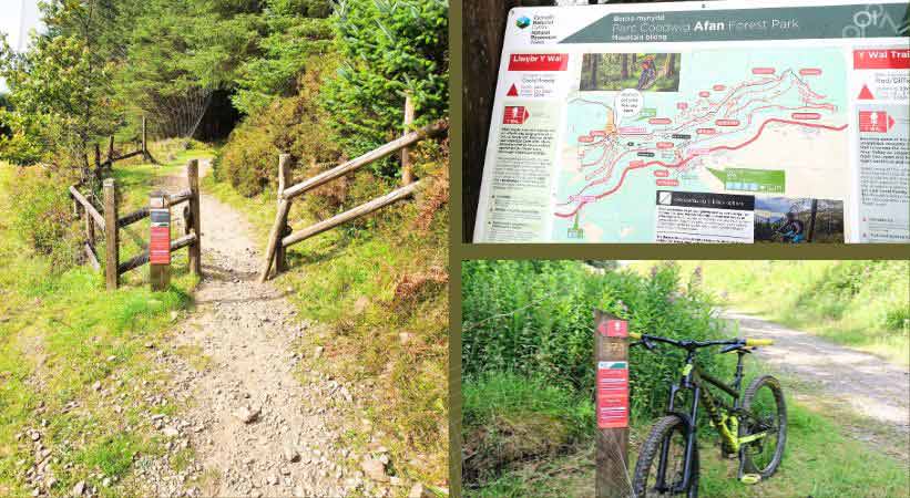 Afan Bike Park