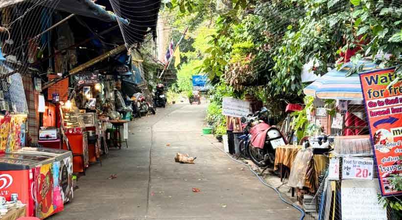 How To reach Huay Kaew Waterfall