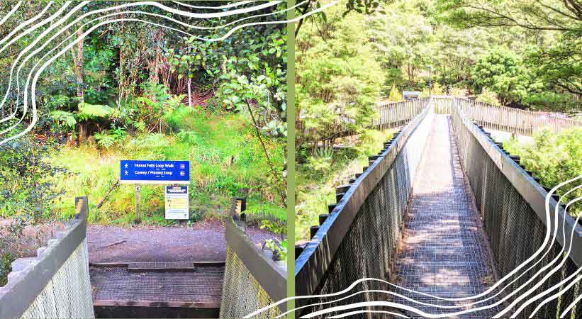 Hunua Falls Loop Walk