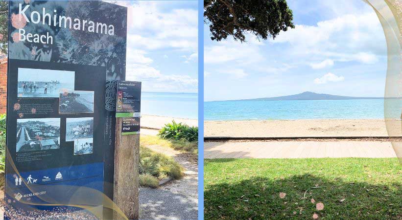 kohimarama beach auckland