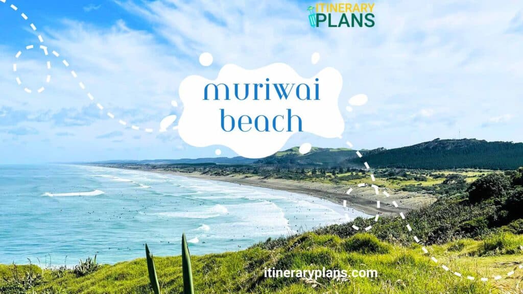 Muriwai Beach