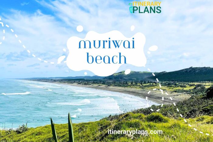 Muriwai Beach Travel Guide: Complete Itinerary plan