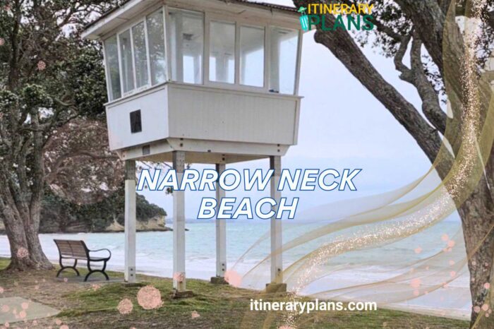 Discover Narrow Neck Beach