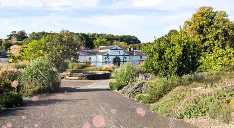 national botanic garden of wales photo