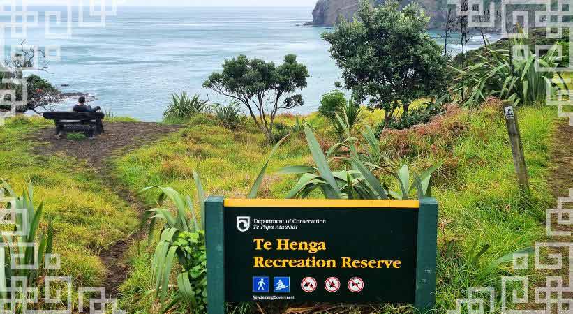 te henga recreation reserve