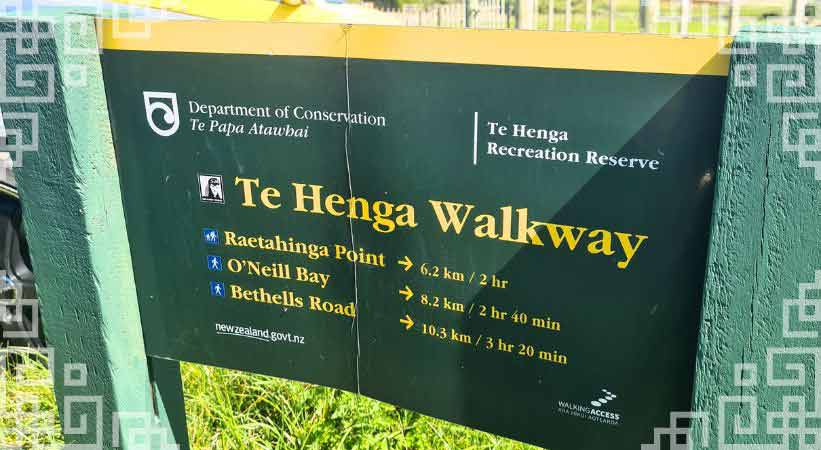 te henga walkway auckland