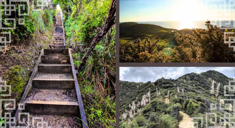 te henga walkway