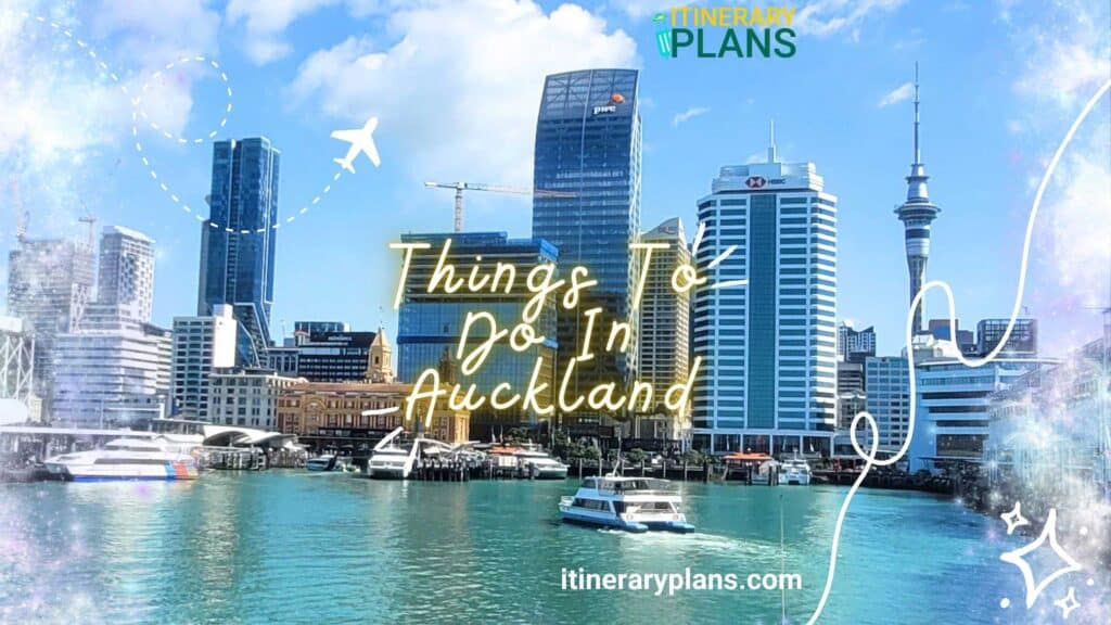 Things To Do In Auckland