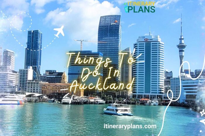 Top 15 Fun Things To Do In Auckland