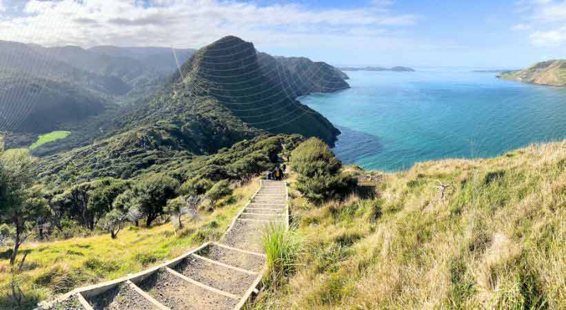 waitakere ranges regional park image