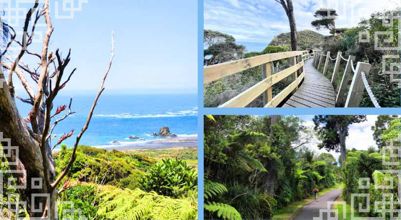 waitakere ranges regional park