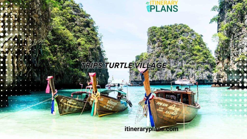 Phuket Happiness Trips Turtle Village