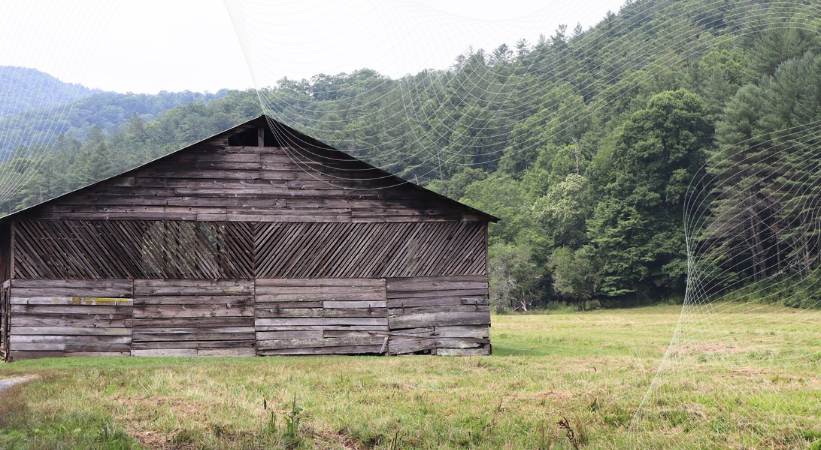 Cataloochee Valley