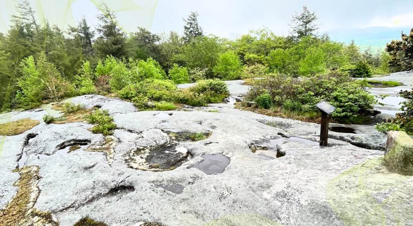 Flat Rock Loop Trail Highlight