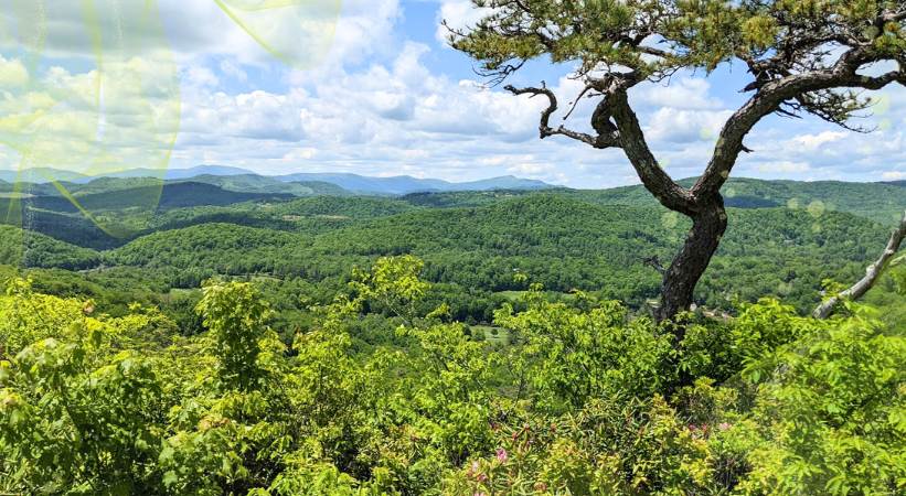 Flat Rock Loop Trail image